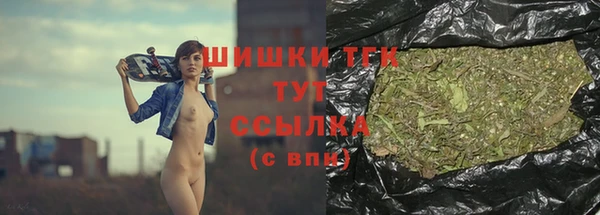 молекула духа Арсеньев