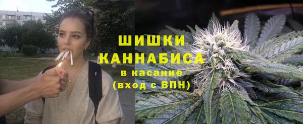 молекула духа Арсеньев