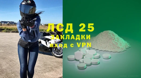 молекула духа Арсеньев