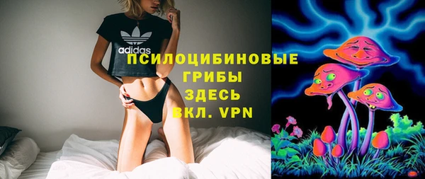 молекула духа Арсеньев
