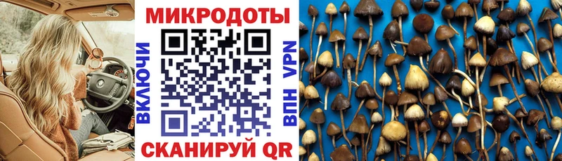 Псилоцибиновые грибы мицелий  магазин  наркотиков  Валдай 
